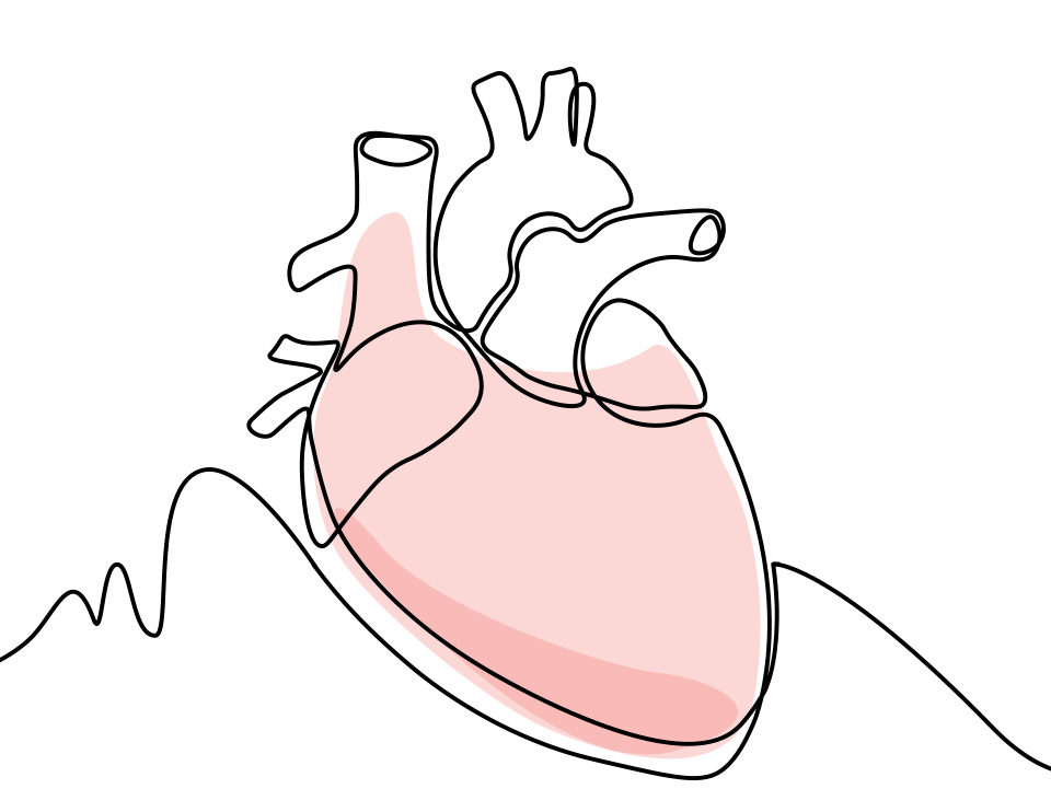 Stenosi aortica | TAVI è Vita